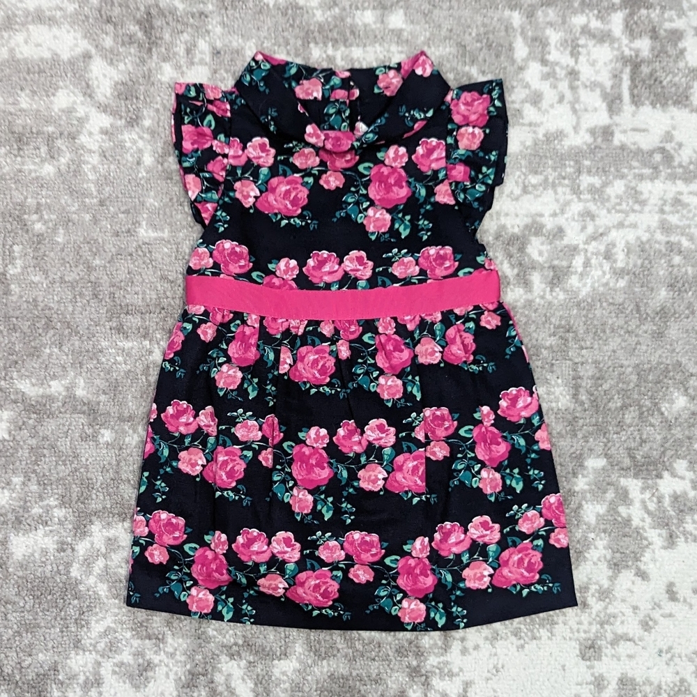 Rose Mock Neck Janie and Jack Dress